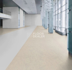 Forbo Marmoleum Decibel 313635 concrete фото 2 | FLOORDEALER